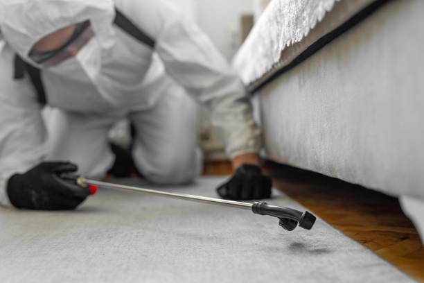 Professional Bed Bug Control technician working in Preston, ID